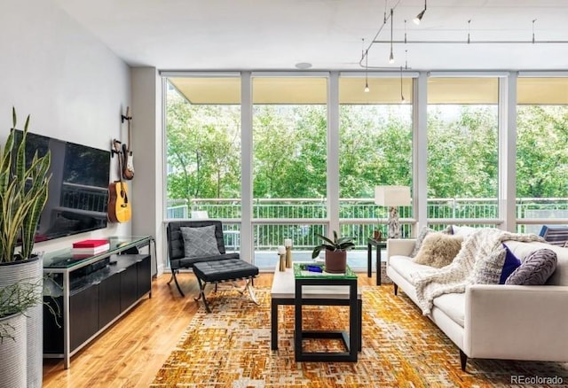 living area featuring a wall of windows and wood finished floors