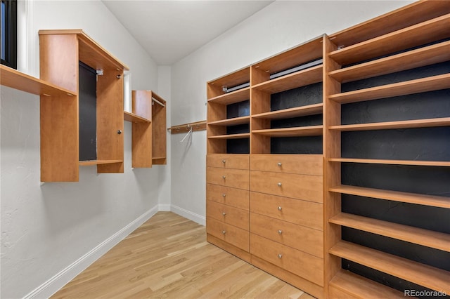 spacious closet featuring light hardwood / wood-style floors