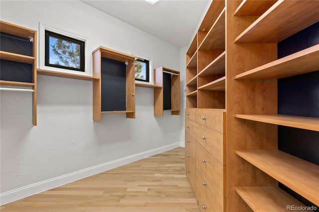 spacious closet with light wood-type flooring