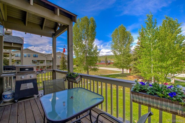 102 Creek Ln, Silverthorne, CO 80498 - photo 11