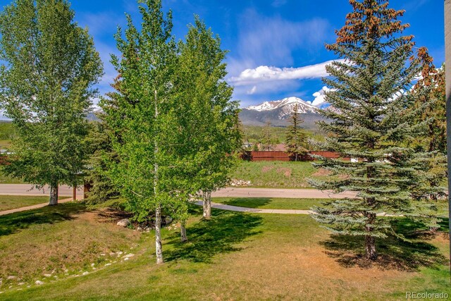 102 Creek Ln, Silverthorne, CO 80498 - photo 12