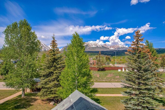 102 Creek Ln, Silverthorne, CO 80498 - photo 27