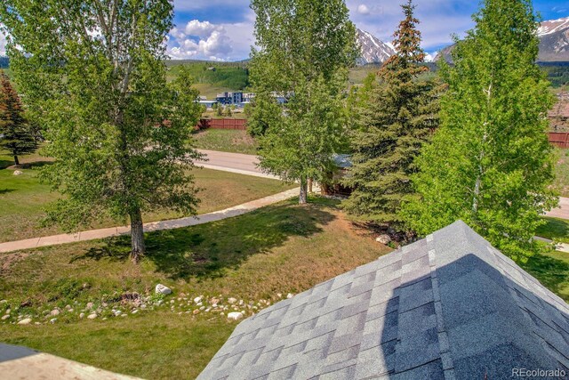 102 Creek Ln, Silverthorne, CO 80498 - photo 29