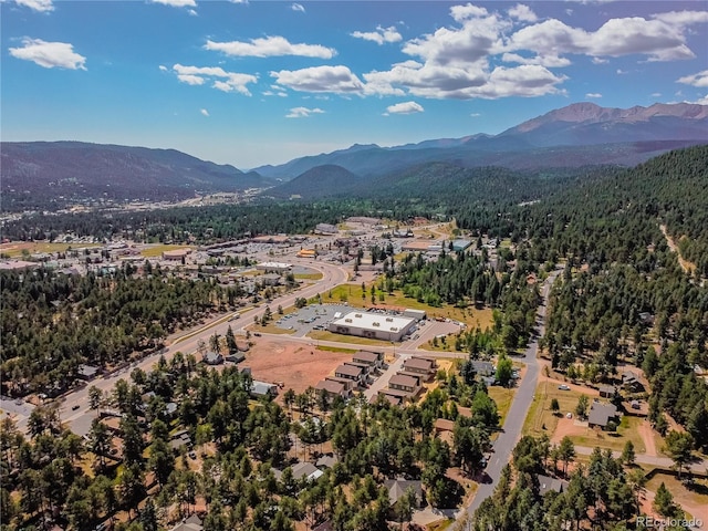 birds eye view of property featuring a mountain view