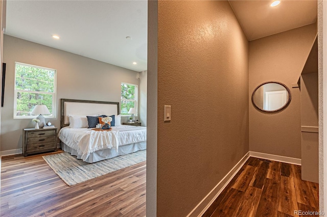 bedroom featuring multiple windows and wood-type flooring