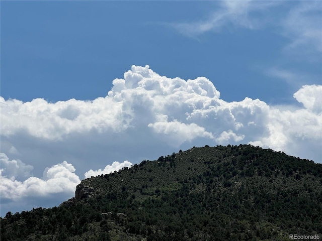 property view of mountains featuring a view of trees