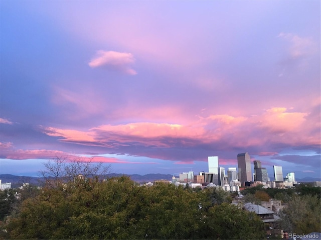 property's view of city