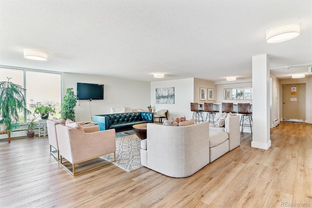 living area with a textured ceiling and light wood finished floors