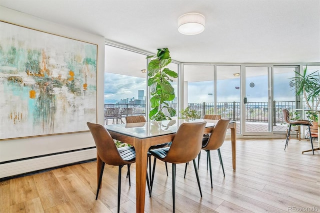 dining room featuring expansive windows, wood finished floors, and a healthy amount of sunlight