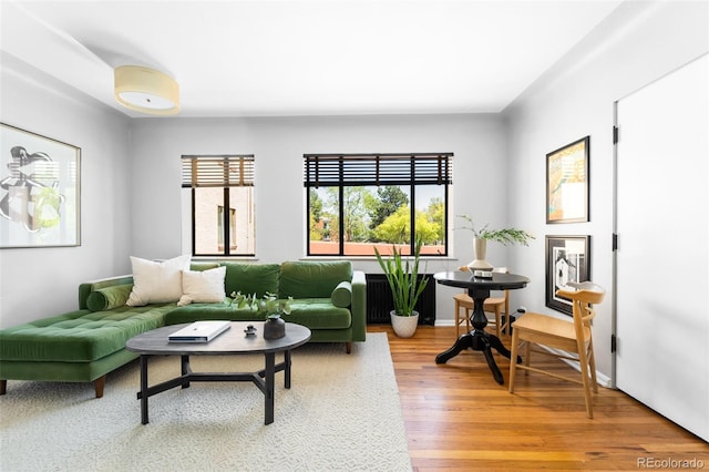 living room featuring wood finished floors