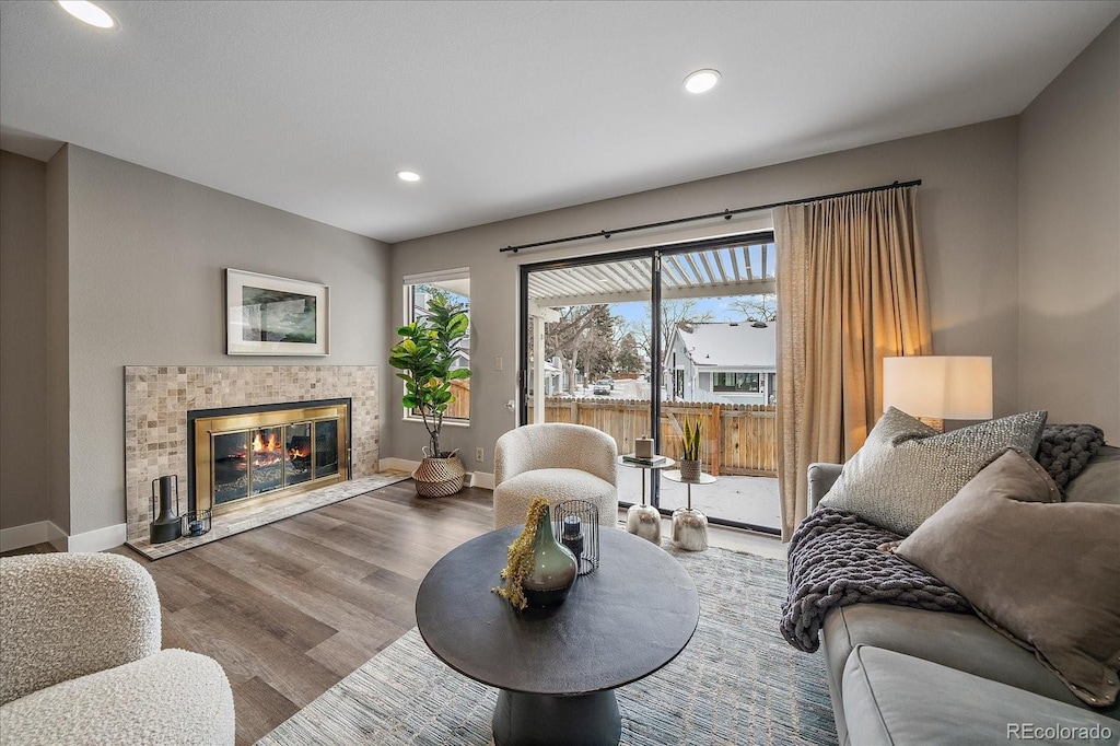 living room featuring wood-type flooring and a fireplace