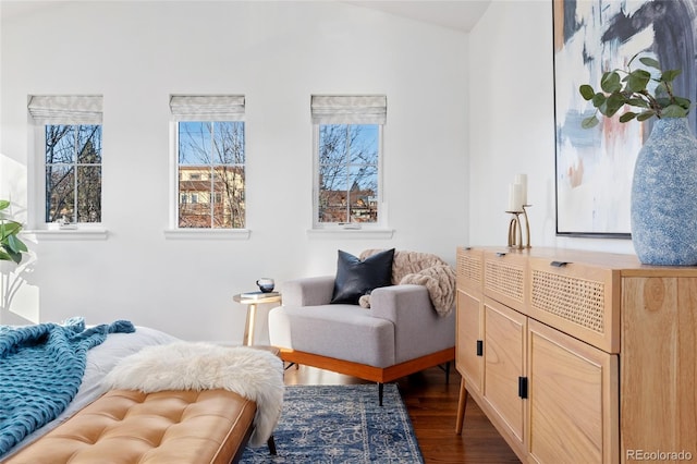 sitting room with vaulted ceiling and dark hardwood / wood-style floors