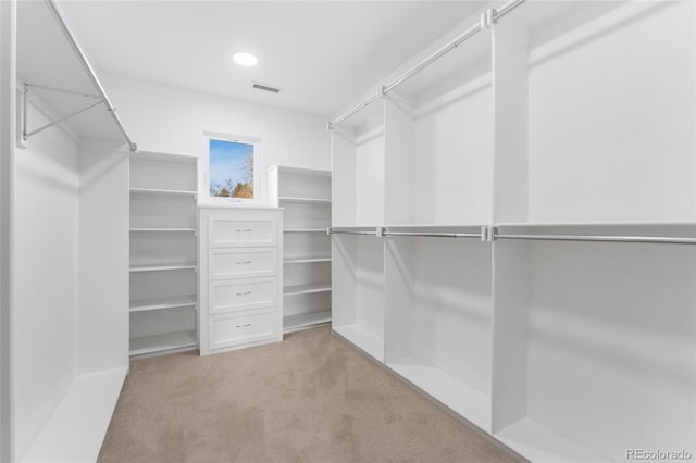 spacious closet featuring light colored carpet