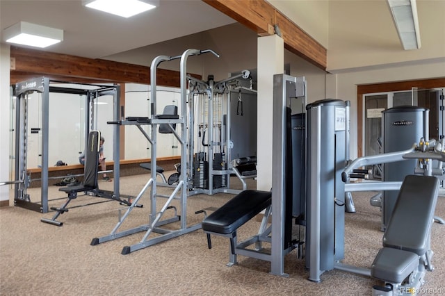 397 County Road 834 Unit 8, Fraser, CO 80442 - gym featuring carpet flooring