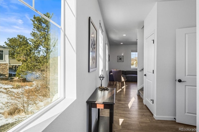 hall featuring dark hardwood / wood-style floors