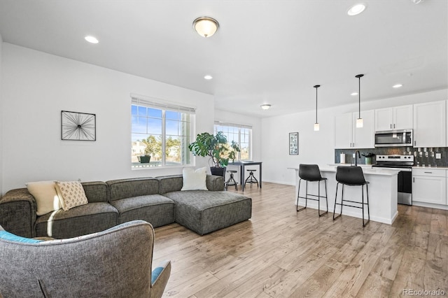 living room featuring light hardwood / wood-style floors and sink