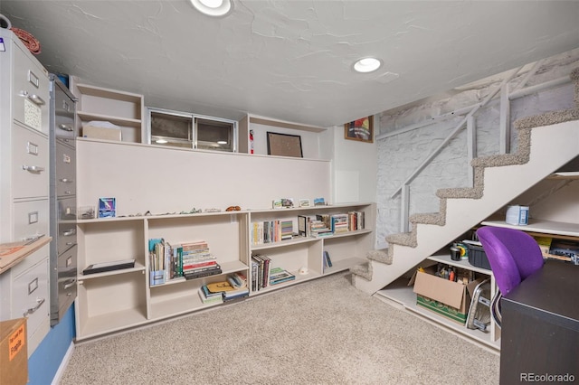 2514 N Humboldt St, Denver, CO 80205 - finished below grade area featuring carpet floors and recessed lighting