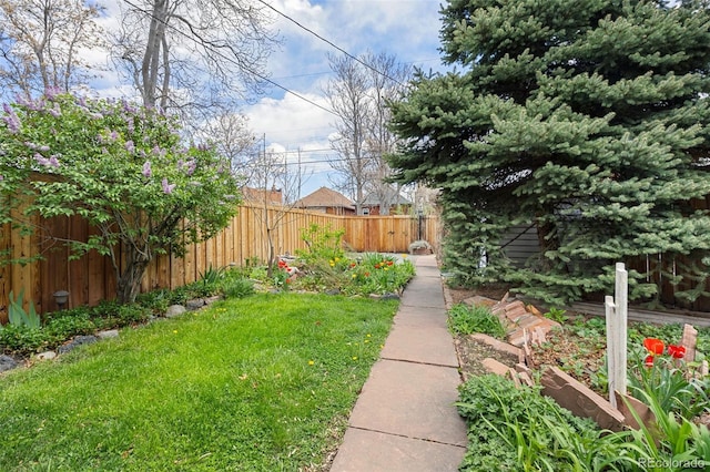 2514 N Humboldt St, Denver, CO 80205 - view of yard
