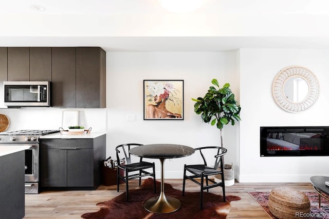 kitchen with stainless steel appliances, light wood-style floors, light countertops, modern cabinets, and a glass covered fireplace