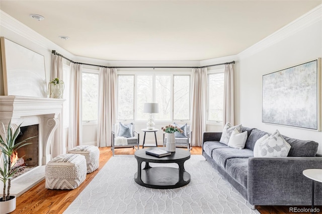 living area featuring a warm lit fireplace, ornamental molding, and wood finished floors