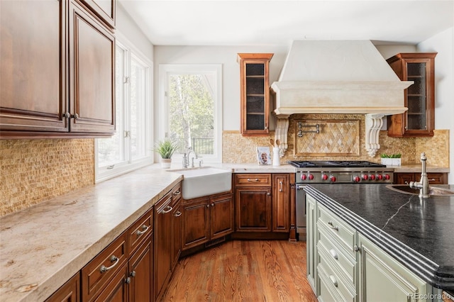 kitchen with a sink, custom range hood, wood finished floors, and a wealth of natural light
