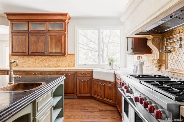 kitchen with decorative backsplash, double oven range, a sink, and wood finished floors