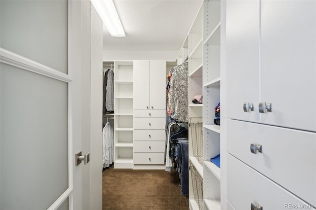 spacious closet featuring dark carpet