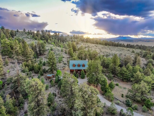 664 S Tonkawa Rd, Hartsel, CO 80449 - photo 3
