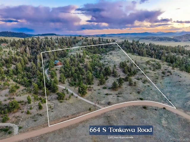664 S Tonkawa Rd, Hartsel, CO 80449 - photo 6