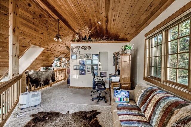 664 S Tonkawa Rd, Hartsel, CO 80449 - photo 20
