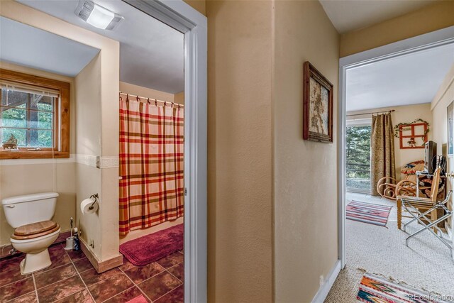 664 S Tonkawa Rd, Hartsel, CO 80449 - photo 34