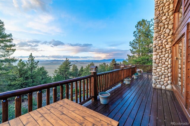 664 S Tonkawa Rd, Hartsel, CO 80449 - photo 49