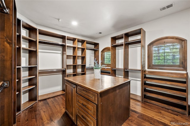 662 Yankakee Dr, Castle Rock, CO 80108 - spacious closet featuring arched walkways, dark wood-style flooring, and visible vents