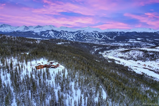 300 Little Sallie Barber Trl, Breckenridge, CO 80424 - photo 50