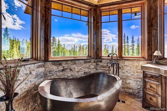 bathroom with vanity and a freestanding tub