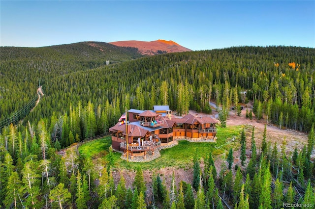 300 Little Sallie Barber Trl, Breckenridge, CO 80424 - photo 5