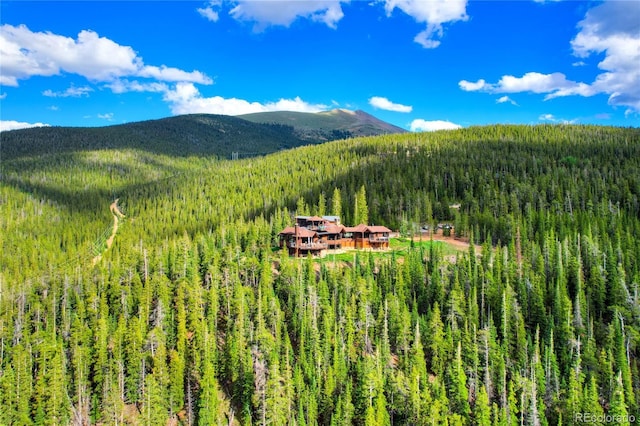 300 Little Sallie Barber Trl, Breckenridge, CO 80424 - photo 6