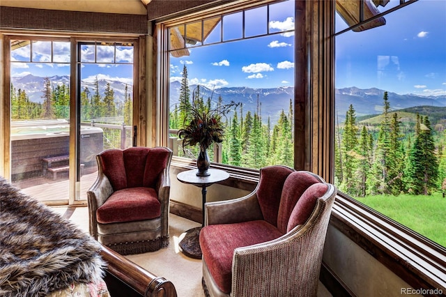 300 Little Sallie Barber Trl, Breckenridge, CO 80424 - photo 25