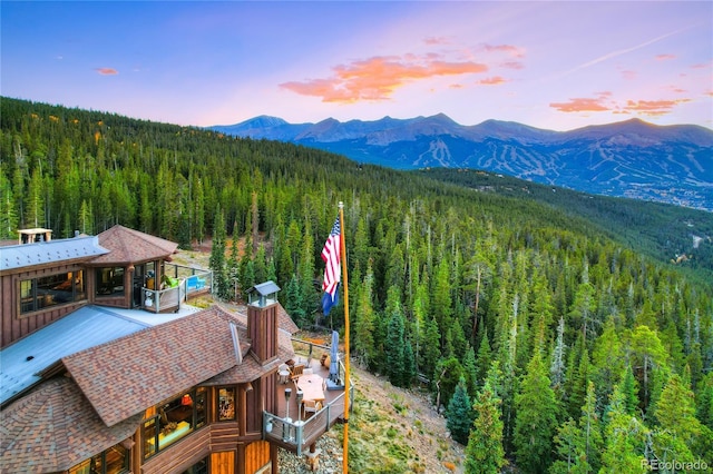300 Little Sallie Barber Trl, Breckenridge, CO 80424 - photo 30