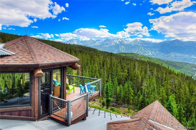 300 Little Sallie Barber Trl, Breckenridge, CO 80424 - photo 31