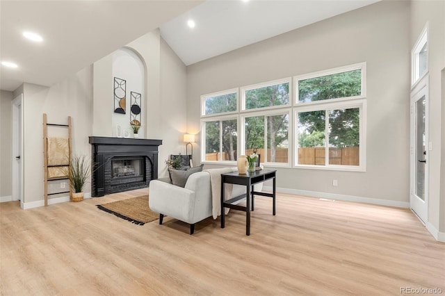 11260 W Fremont Ave, Littleton, CO 80127 - living room with a glass covered fireplace, light wood-style floors, healthy amount of natural light, recessed lighting, and a towering ceiling