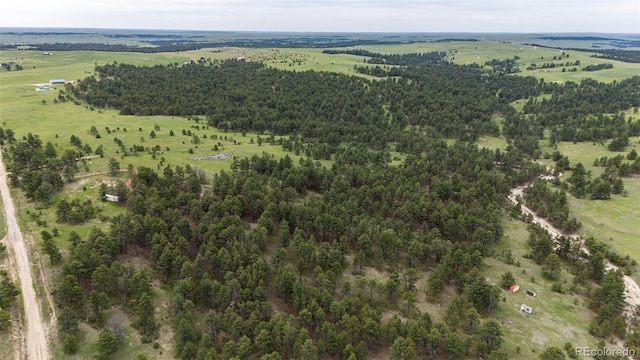 24130 High Timber Ln, Agate, CO 80101 - bird's eye view