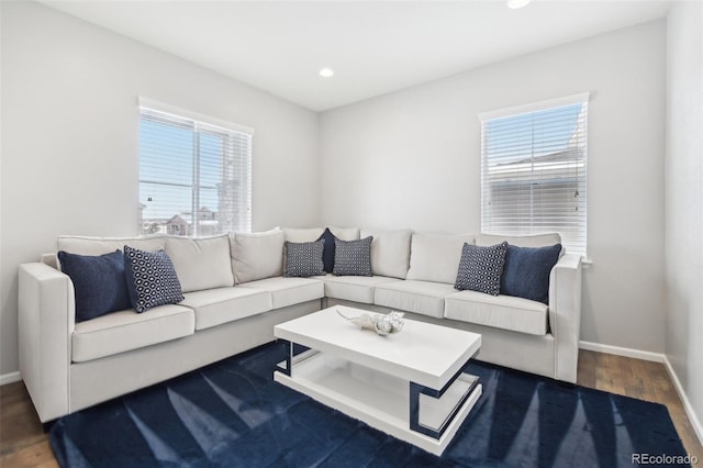 living room with dark wood-type flooring