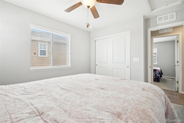 bedroom featuring multiple windows, hardwood / wood-style flooring, ceiling fan, and a closet