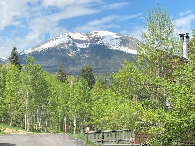 2710 Ryan Gulch Rd Unit 2714, Silverthorne, CO 80498 - view of mountain background