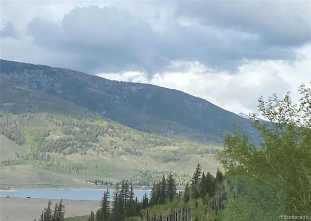 2710 Ryan Gulch Rd Unit 2714, Silverthorne, CO 80498 - view of mountain backdrop featuring a nearby body of water and a heavily wooded area