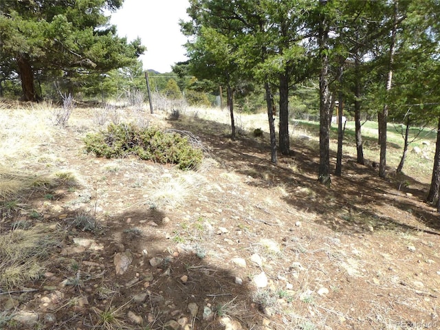 13012 S Wamblee Valley Rd, Conifer, CO 80433 - view of local wilderness