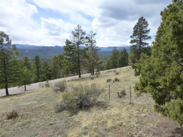 13012 S Wamblee Valley Rd, Conifer, CO 80433 - view of mountain background featuring a heavily wooded area