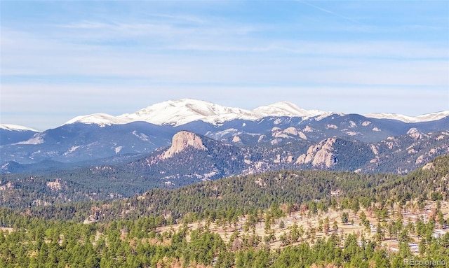 13012 S Wamblee Valley Rd, Conifer, CO 80433 - view of mountain background with a heavily wooded area