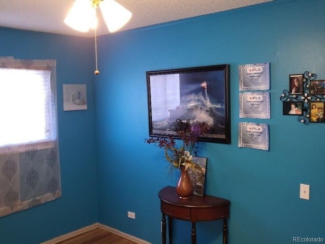 interior space with a textured ceiling and wood-type flooring